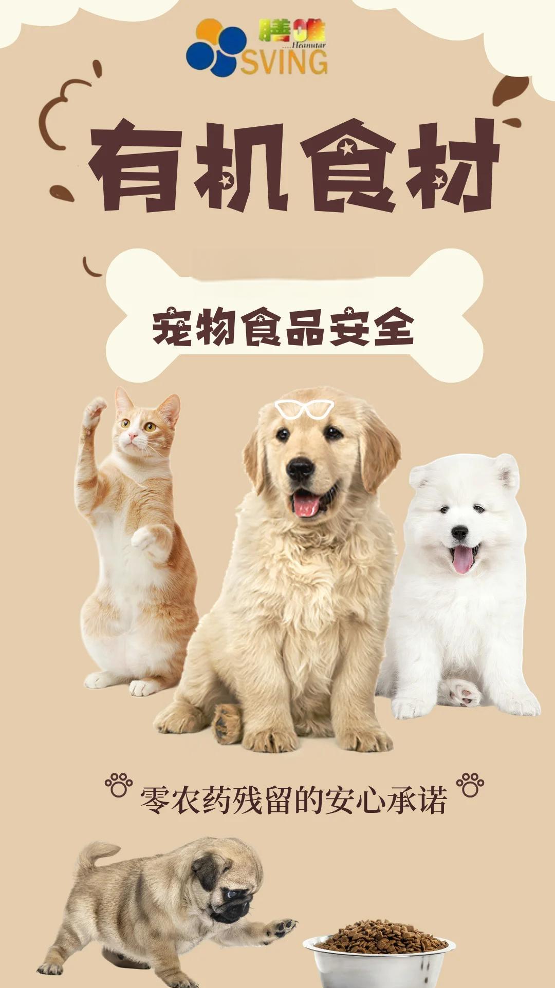 從餐桌到餐碗 有機(jī)食材如何為寵物健康筑起天然屏障